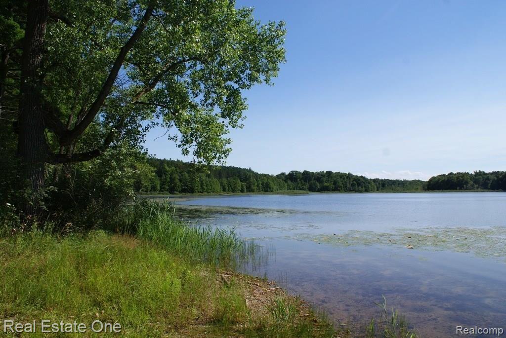2 McKeen Lake Road Columbiaville, MI 48421 - Photo 11 of 51
