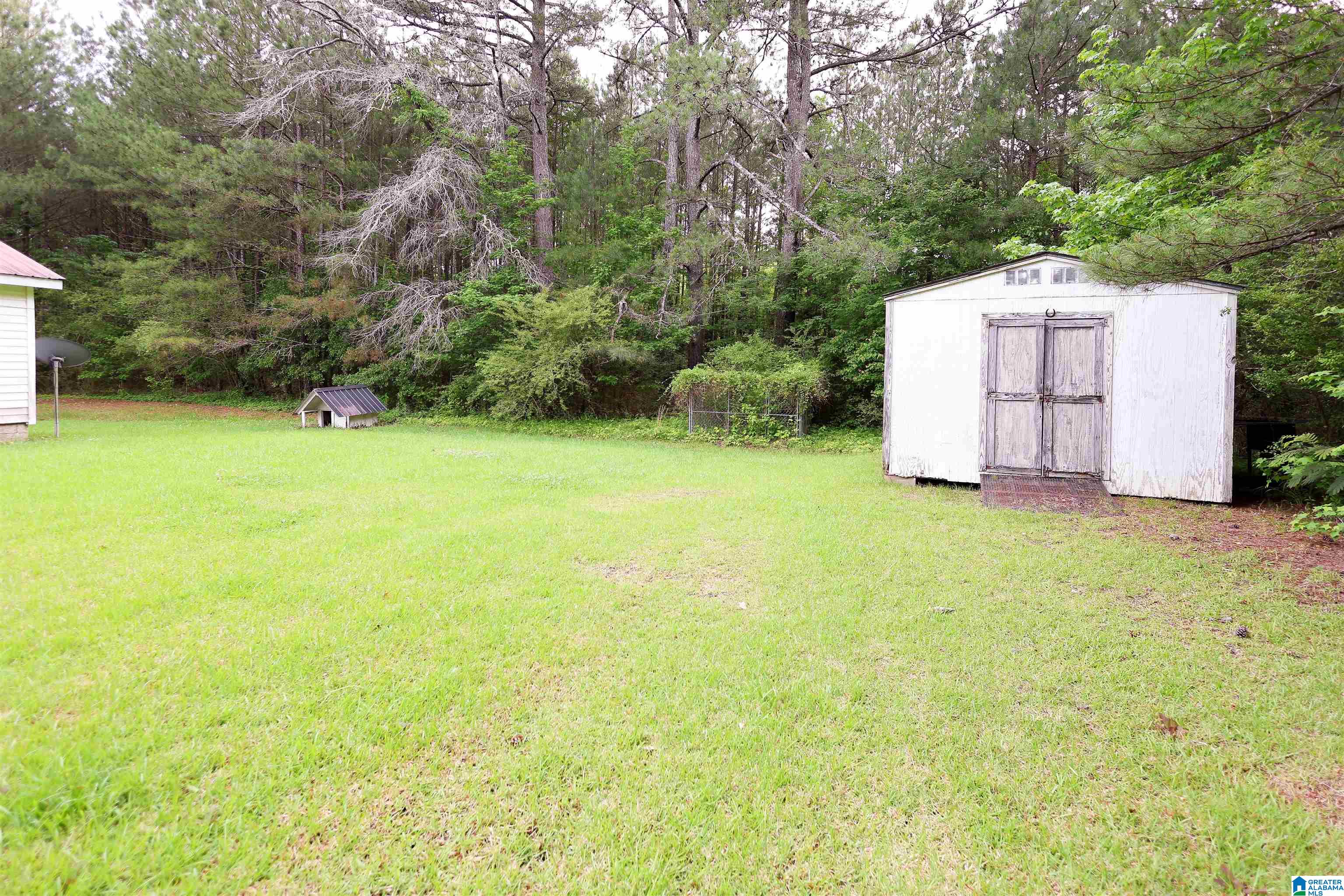 1619 Websters Chapel Road Wellington, AL 36279 - Photo 28 of 33