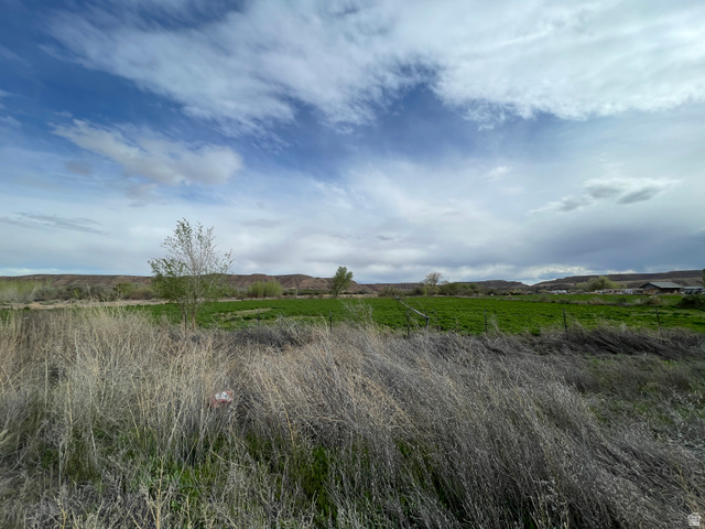 240 Horseshoe Bend Road Vernal, UT 84078 - Photo 31 of 41 View of hay field