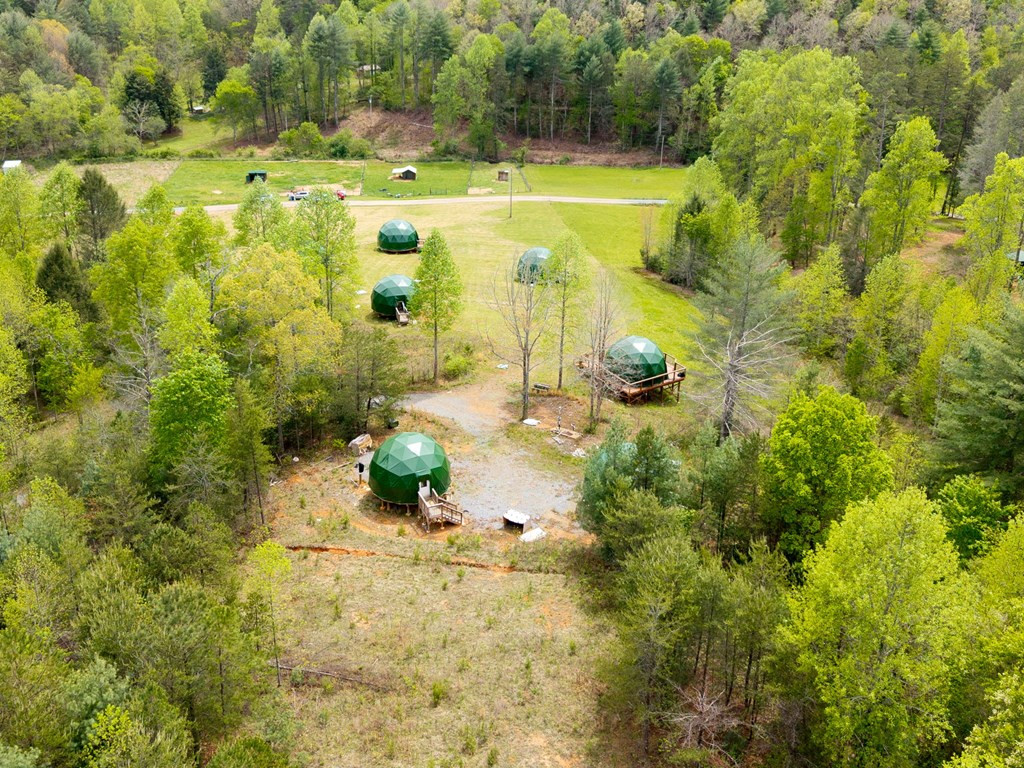 245 Quiet River Road Murphy, NC 28906 - Photo 9 of 17