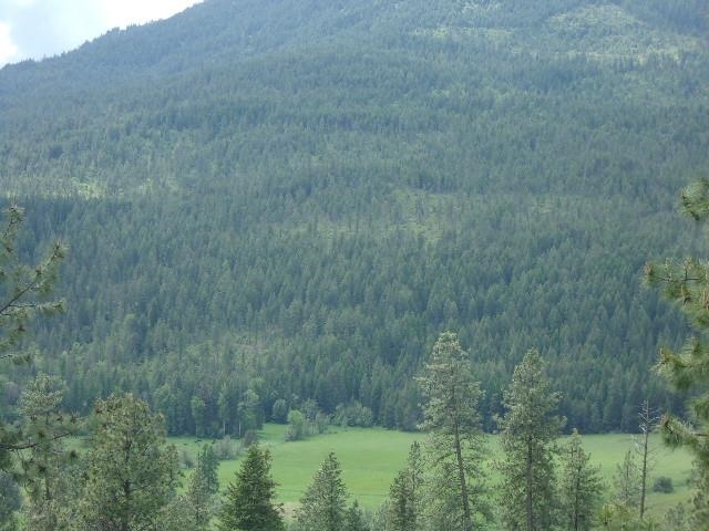 X11 X Hoag Road Valley, WA 99181 - Photo 12 of 29