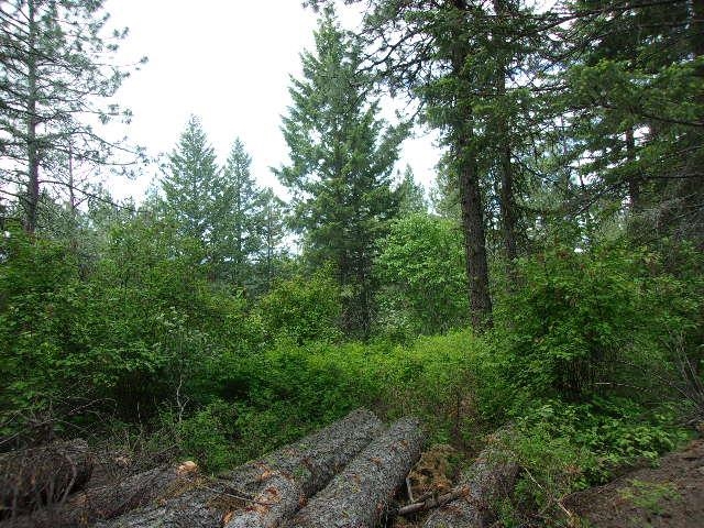 X11 X Hoag Road Valley, WA 99181 - Photo 14 of 29