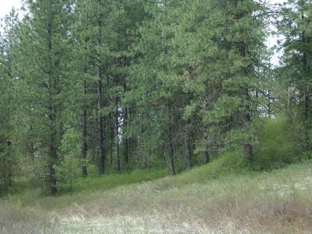 X11 X Hoag Road Valley, WA 99181 - Photo 15 of 29