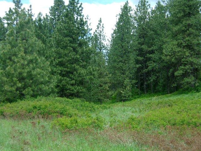 X11 X Hoag Road Valley, WA 99181 - Photo 2 of 29