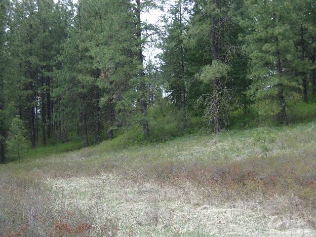 X11 X Hoag Road Valley, WA 99181 - Photo 22 of 29