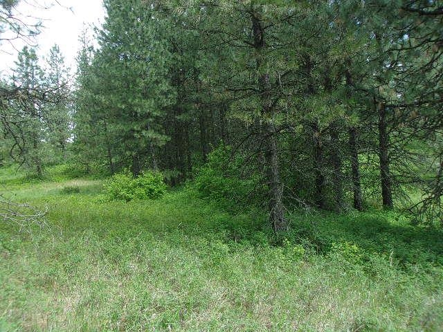 X11 X Hoag Road Valley, WA 99181 - Photo 4 of 29