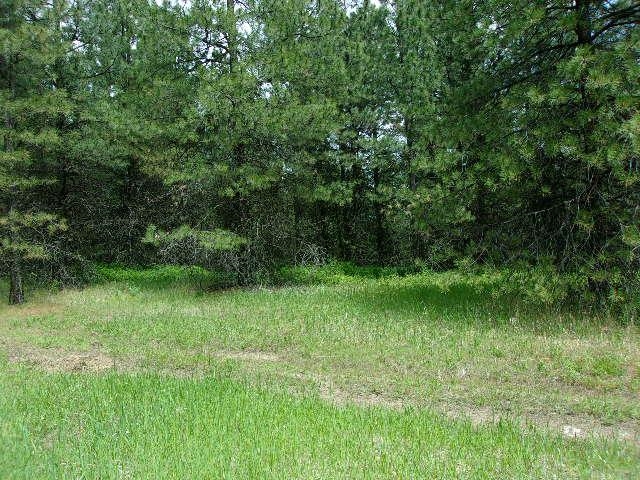 X11 X Hoag Road Valley, WA 99181 - Photo 6 of 29