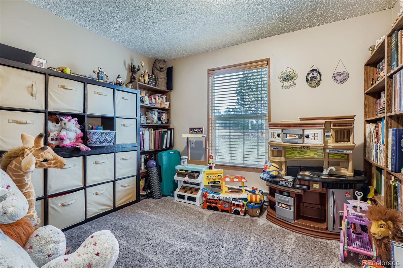 36888 View Ridge Drive Elizabeth, CO 80107 - Photo 20 of 28 Gallery Image 20