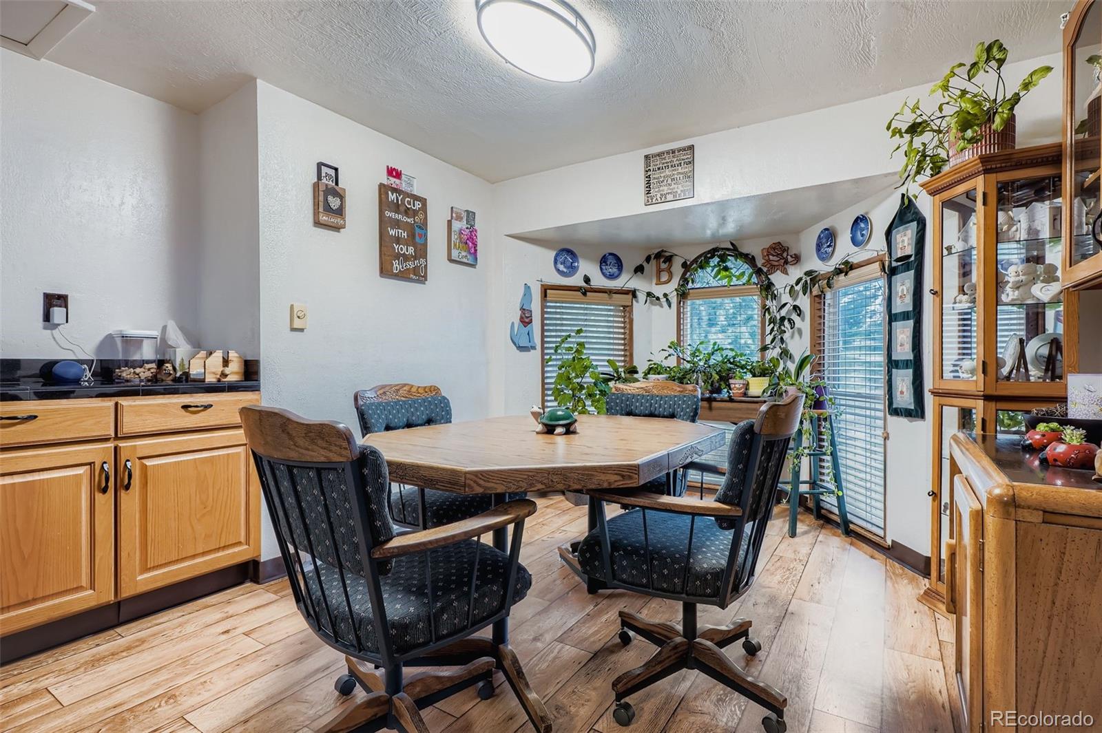 36888 View Ridge Drive Elizabeth, CO 80107 - Photo 8 of 28 Gallery Image 8