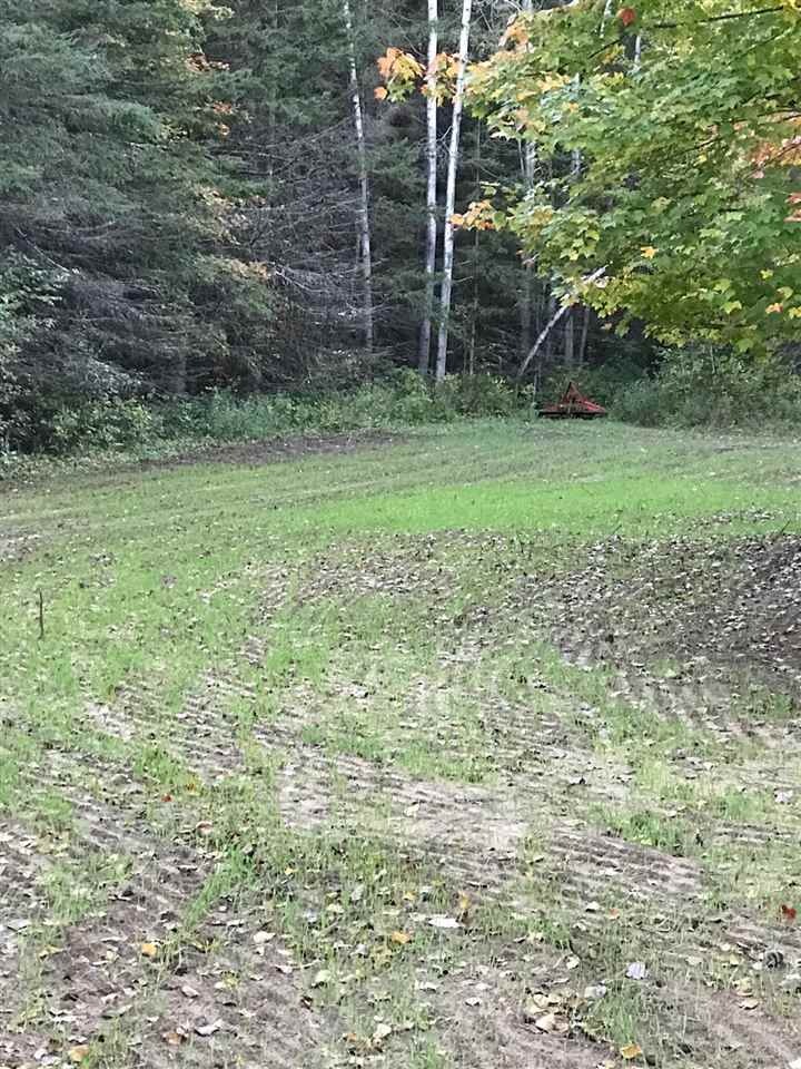 2877 Klender Road Rhodes, MI 48652 - Photo 27 of 27