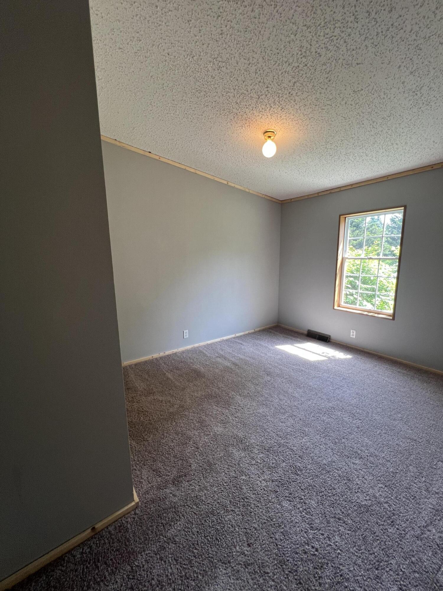 6582 South Garlock Road Carson City, MI 48811 - Photo 31 of 43 IMG_0181
