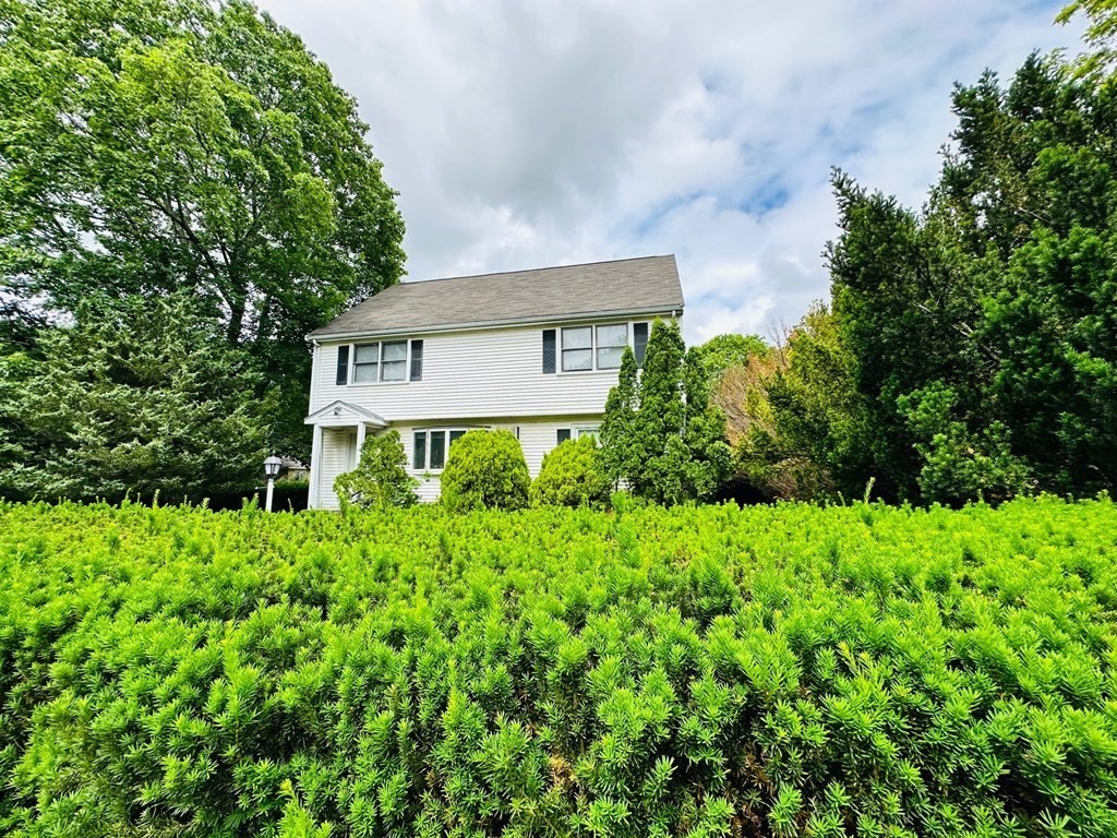 143 Reed Street Lexington, MA 02421 - Photo 3 of 19 an aerial view of a house with a yard and plants