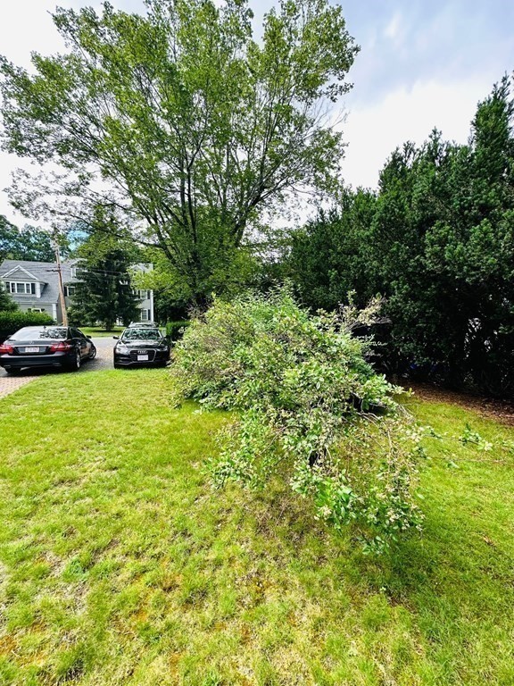 143 Reed Street Lexington, MA 02421 - Photo 9 of 19 a view of a yard with potted plants and large trees
