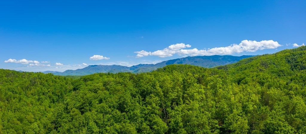 0 Henry Town Road Sevierville, TN 37876 - Photo 16 of 38 Gallery Image 16