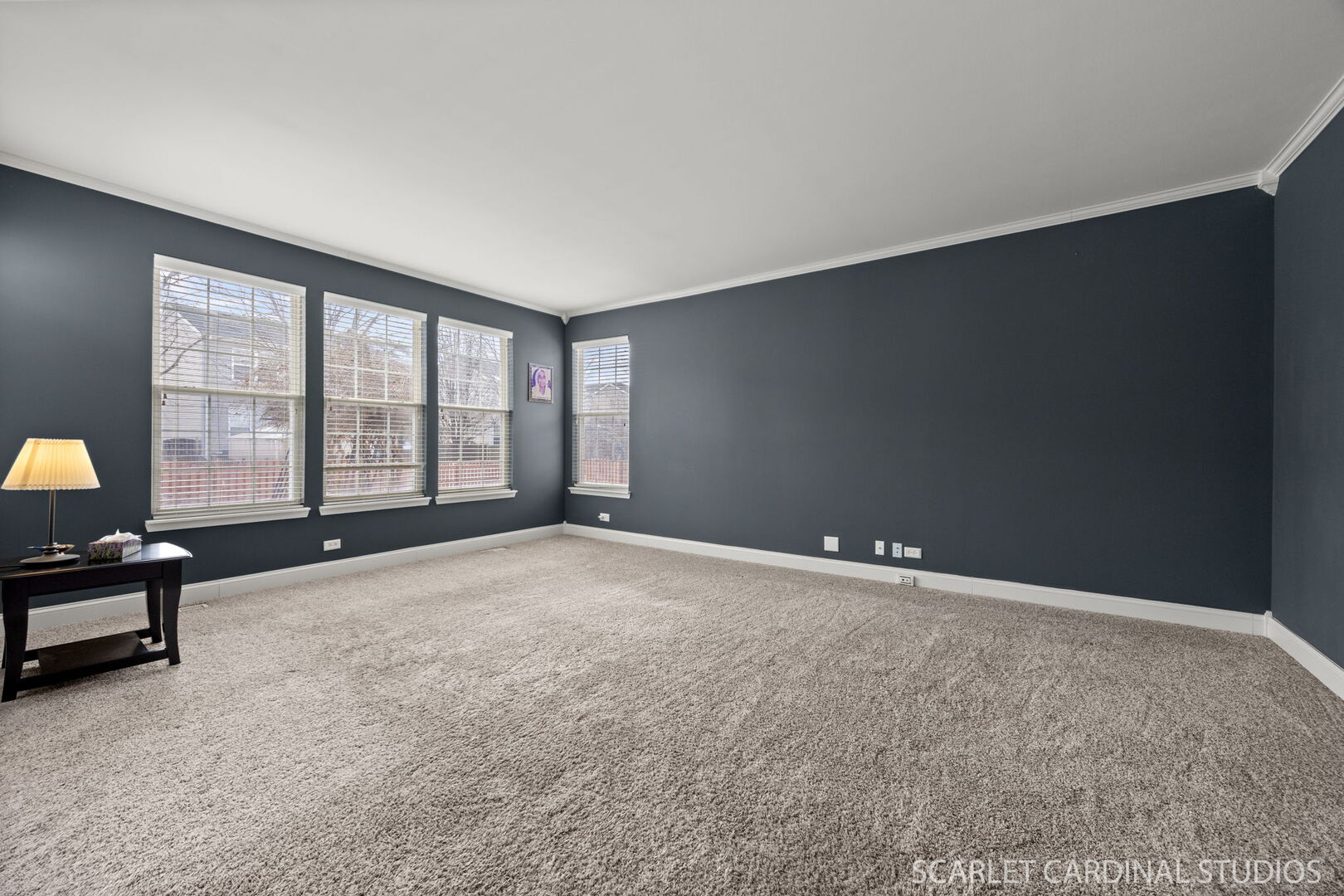 784 Glenside Circle Bolingbrook, IL 60490 - Photo 9 of 31