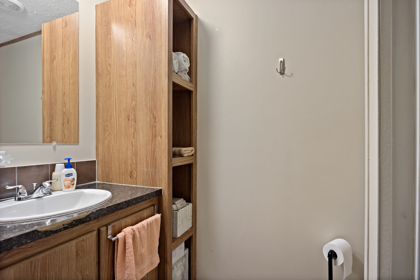 1178 Candida Road Elgin, IL 60123 - Photo 8 of 19 a bathroom with a granite countertop sink and a mirror