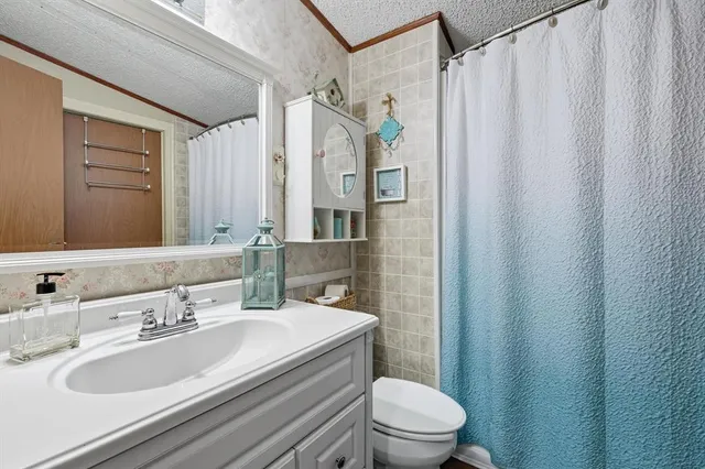 a bathroom with a sink a toilet a mirror and shower curtain