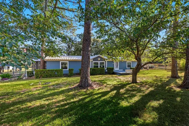 a tree in front of a brick house with a large tree