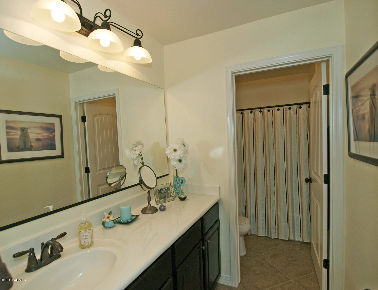 21068 West Ridge Road Buckeye, AZ 85396 - Photo 18 of 26 P1012153