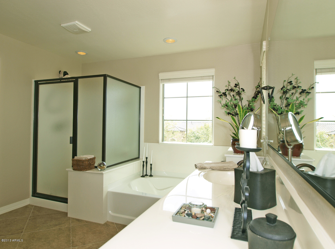 21068 West Ridge Road Buckeye, AZ 85396 - Photo 23 of 26 P1012163