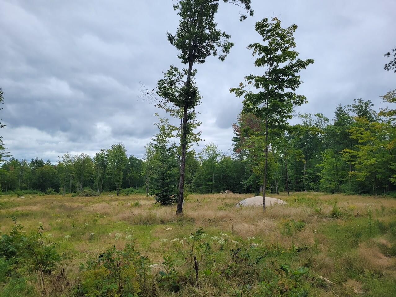 0 Heath Road Lebanon, ME 04027 - Photo 5 of 19 20220907_113333