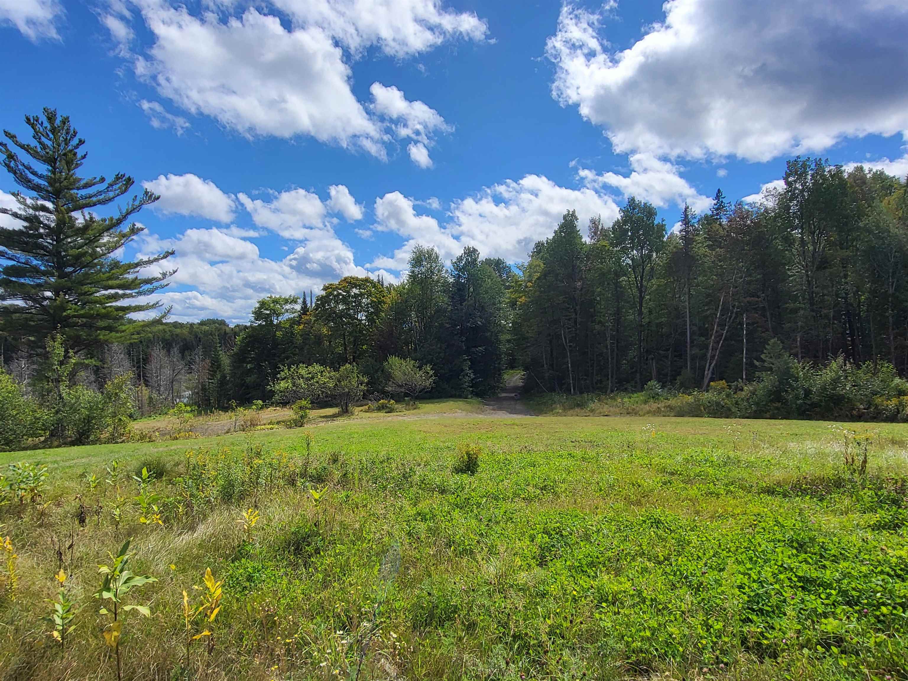224 Blodgett Road Wheelock, VT 05851 - Photo 36 of 39