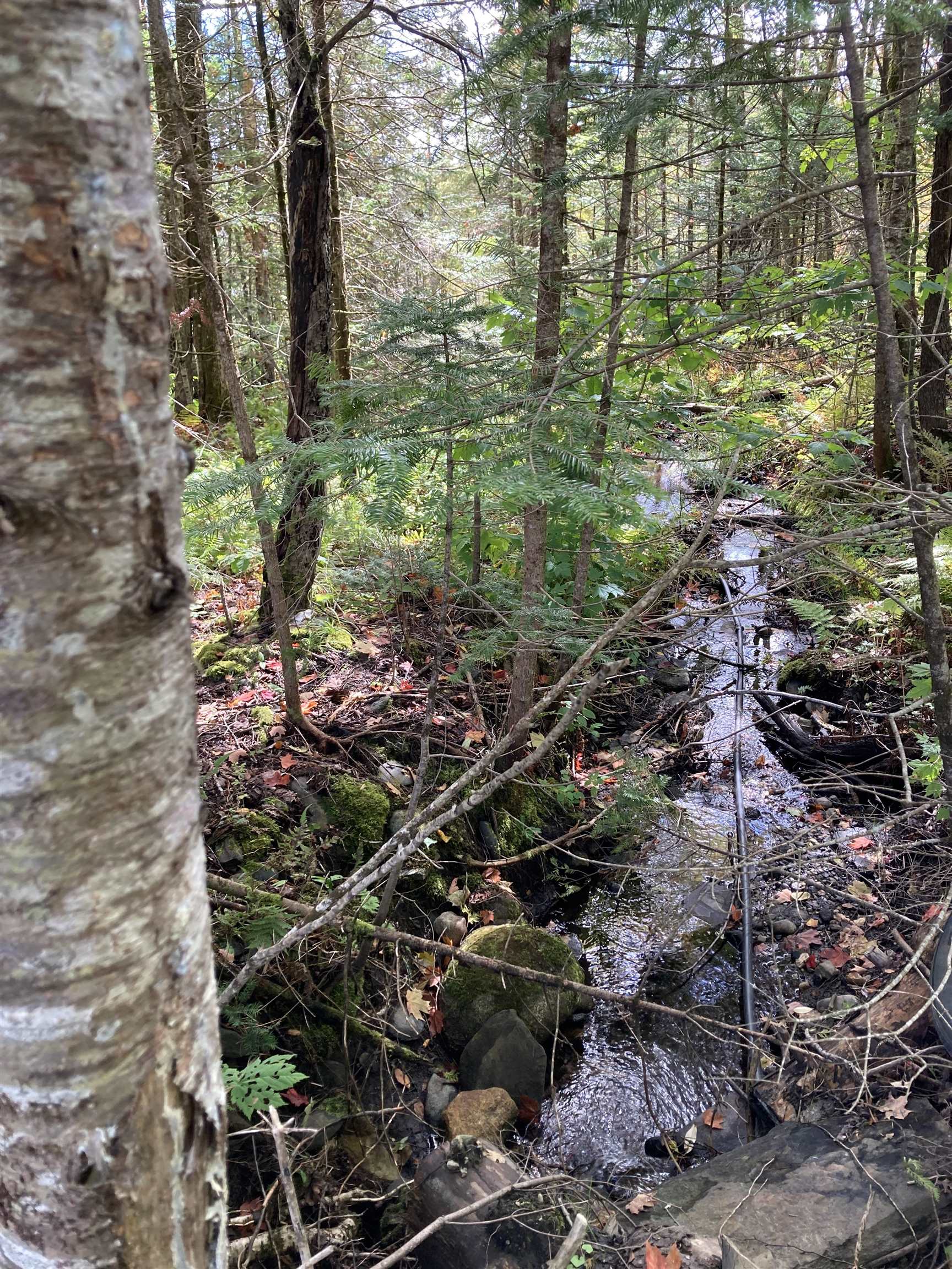 224 Blodgett Road Wheelock, VT 05851 - Photo 37 of 39