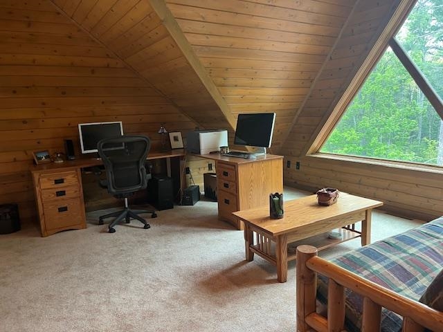 N5107 Rock River Road Naubinway, MI 49827 - Photo 7 of 10