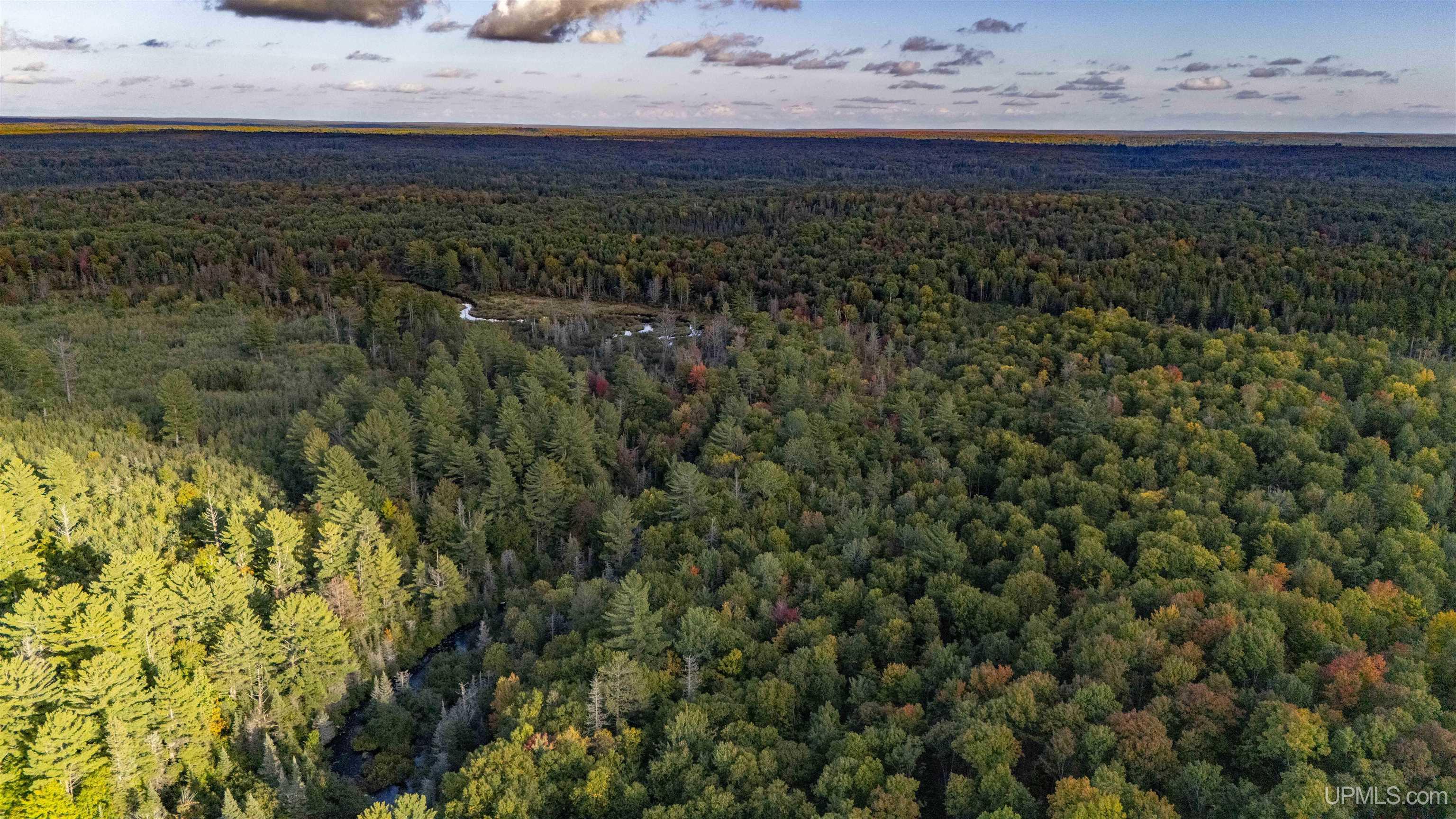 Tbd Luke Road Amasa, MI 49903 - Photo 29 of 64
