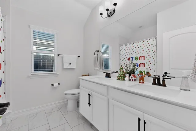 a bathroom with a double vanity sink toilet and a mirror