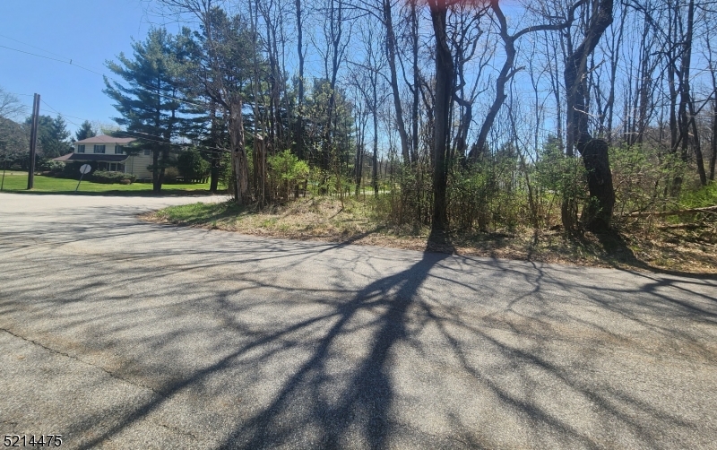 2 Fieldstone Lane Franklin, NJ 07416 - Photo 4 of 5 a view of a yard with plants and trees