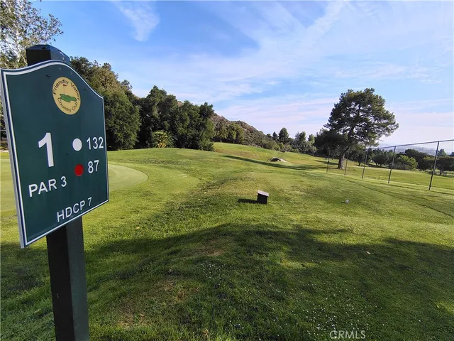 a view of a garden with a tree