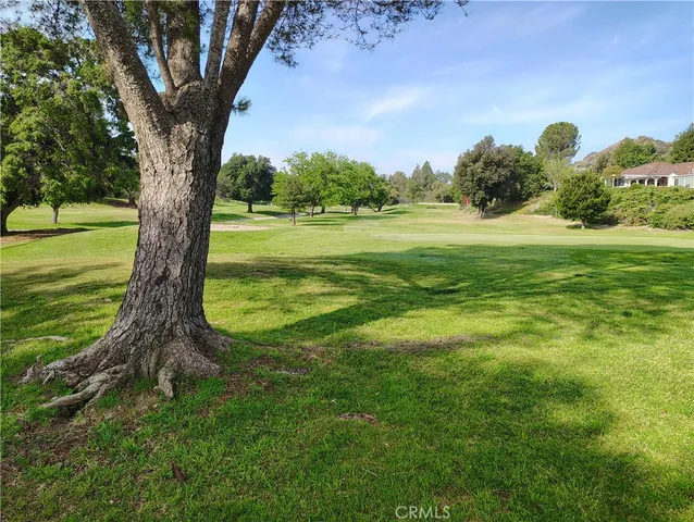 a view of a park and trees