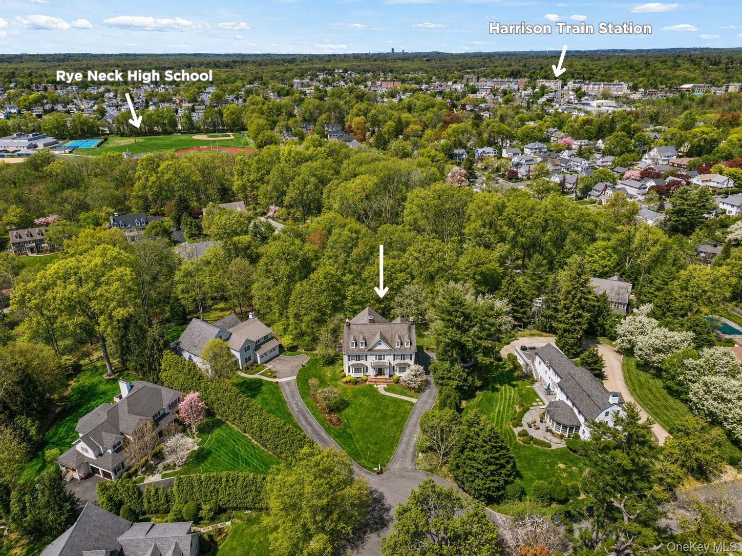 10 Morris Court Rye, NY 10580 - Photo 39 of 44 Enjoy unmatched backyard privacy, while close to all: schools, train, parks, swim & golf.