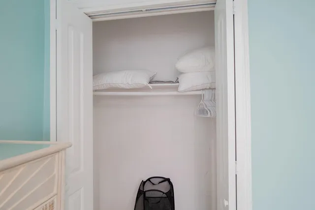 a potted plant sitting on top of a counter