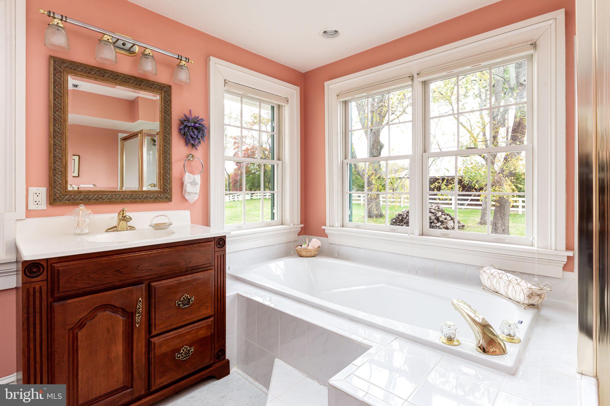 5338 Sudley Road West River, MD 20778 - Photo 27 of 57 Soaker tub and cube shower