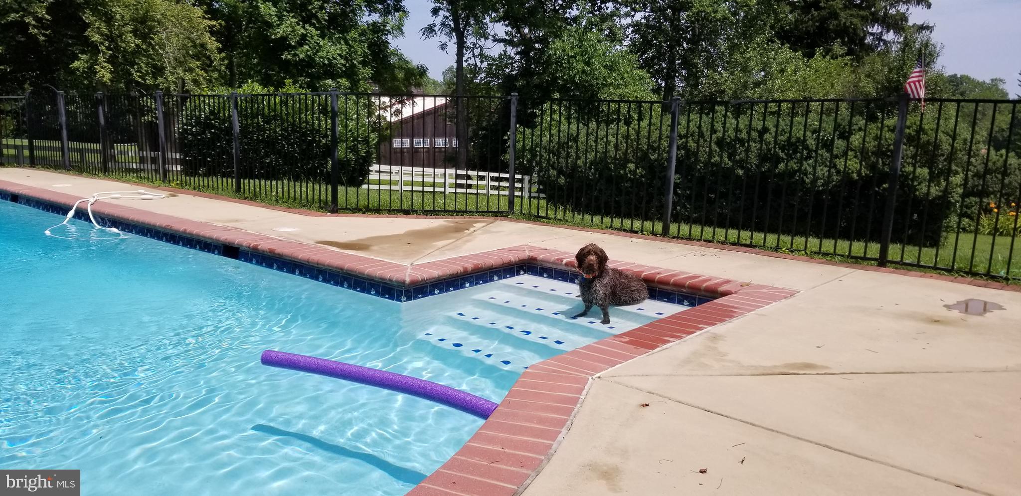 5338 Sudley Road West River, MD 20778 - Photo 40 of 57