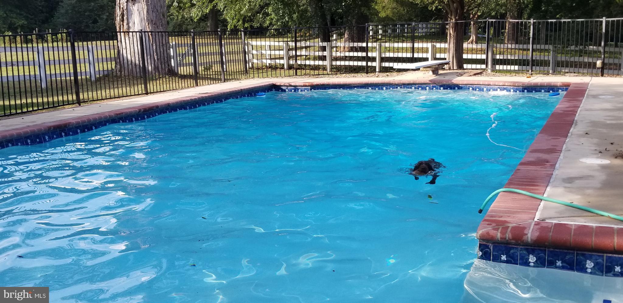 5338 Sudley Road West River, MD 20778 - Photo 41 of 57