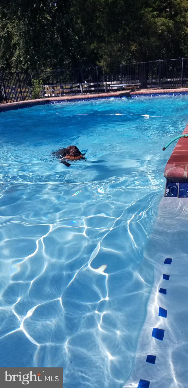 5338 Sudley Road West River, MD 20778 - Photo 42 of 57