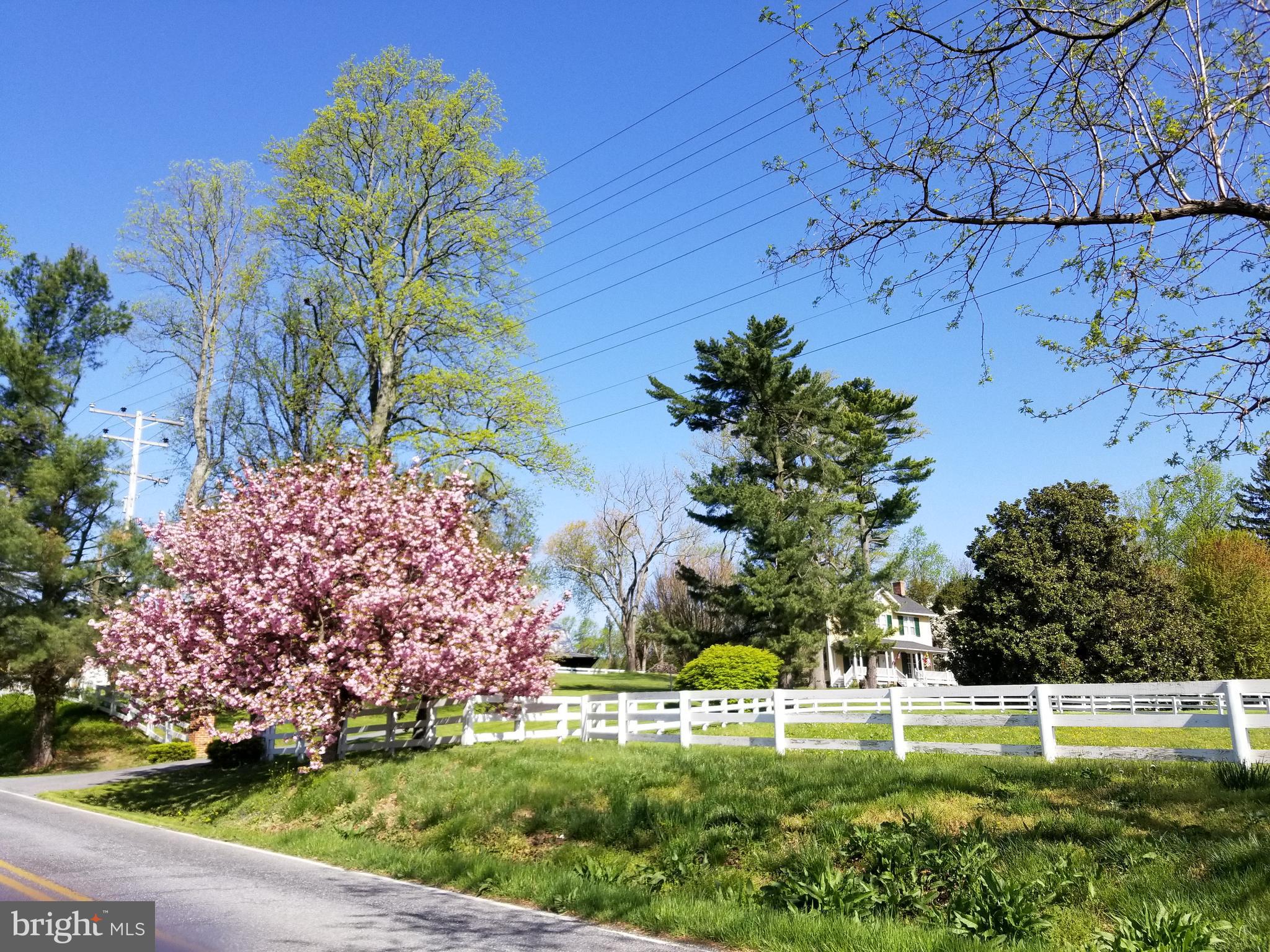 5338 Sudley Road West River, MD 20778 - Photo 49 of 57 View from the main road