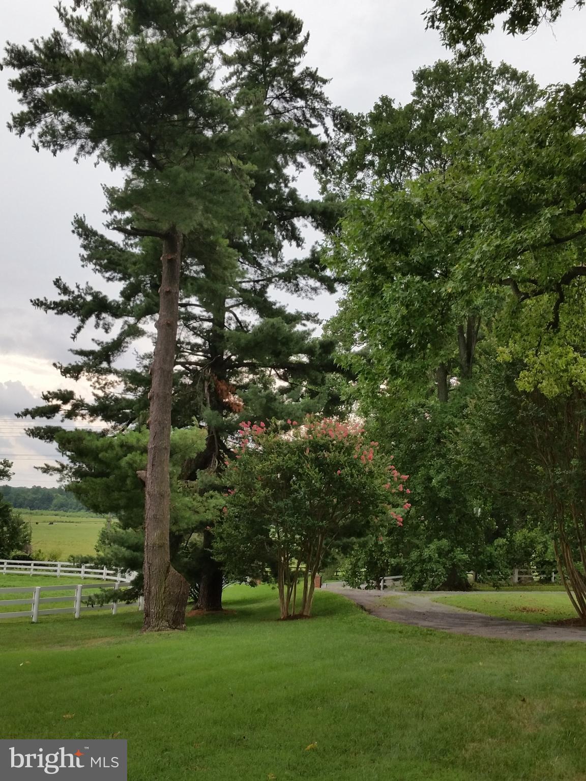 5338 Sudley Road West River, MD 20778 - Photo 51 of 57