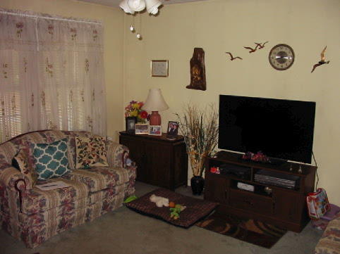 244 Archie Road West End, NC 27376 - Photo 9 of 11 Living Room 2