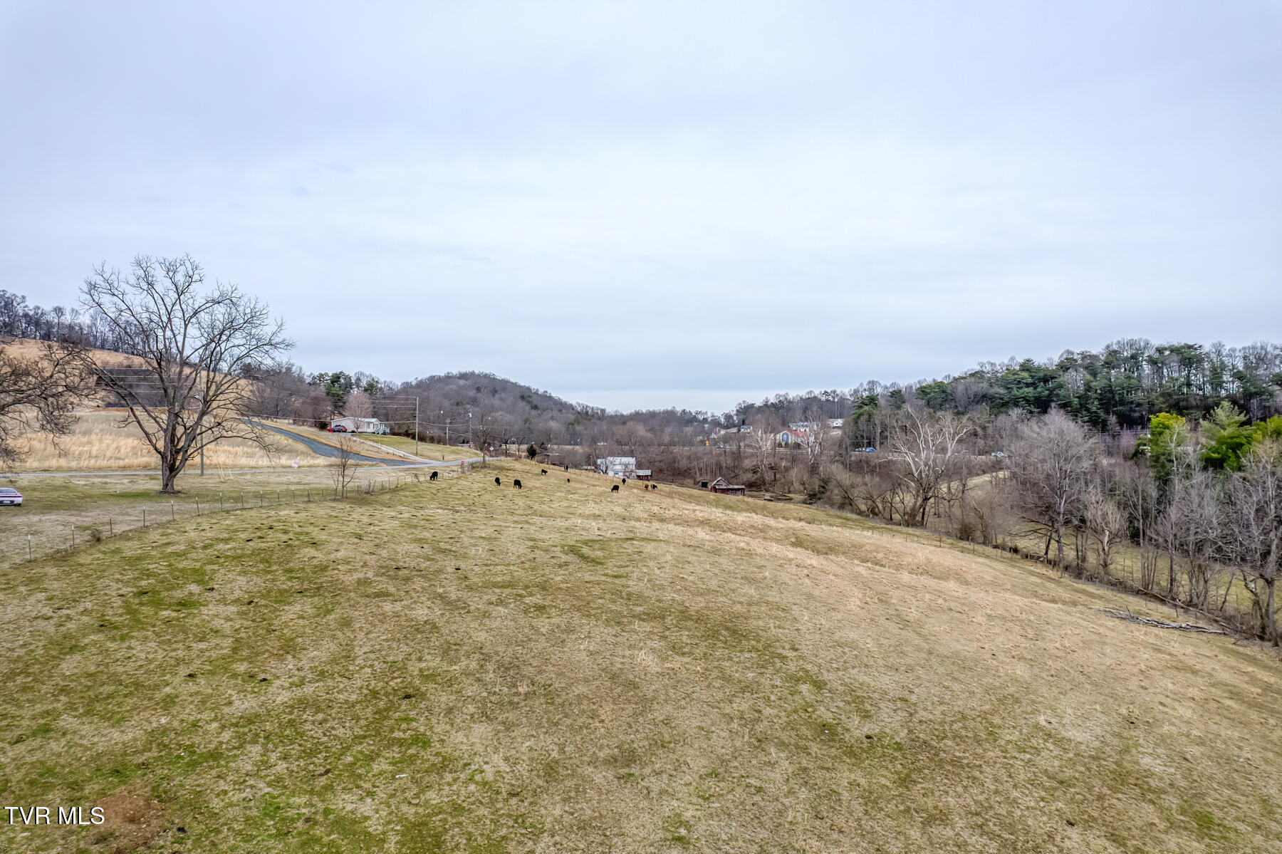 707 Egypt Road Bluff City, TN 37618 - Photo 6 of 16 Egypt Rd Land 2