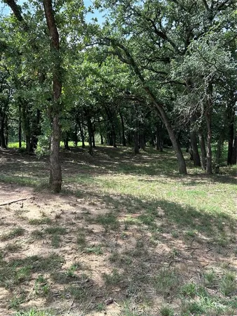 a view of a green yard