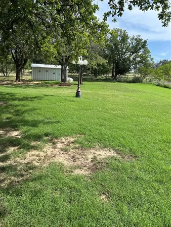 a view of a trees in a yard