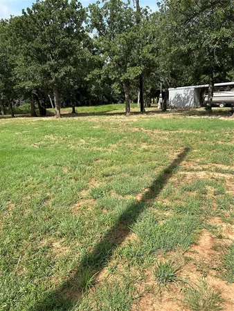a view of a trees in a park