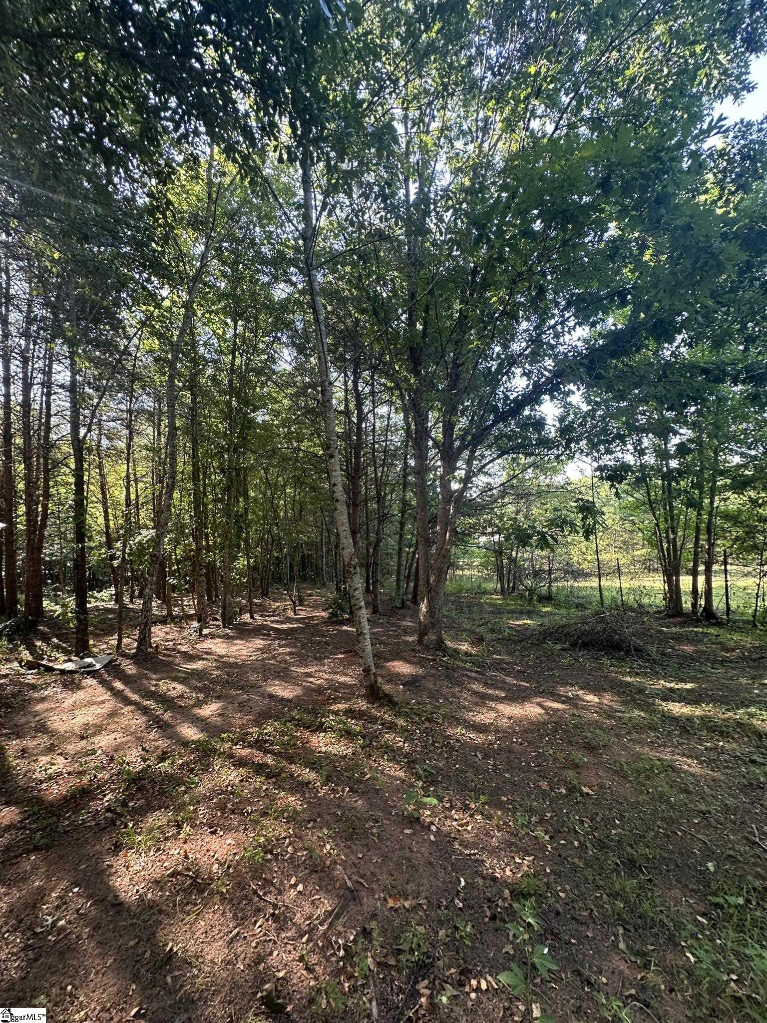 442 Mush Creek Road Travelers Rest, SC 29690 - Photo 5 of 14 Gallery Image 5