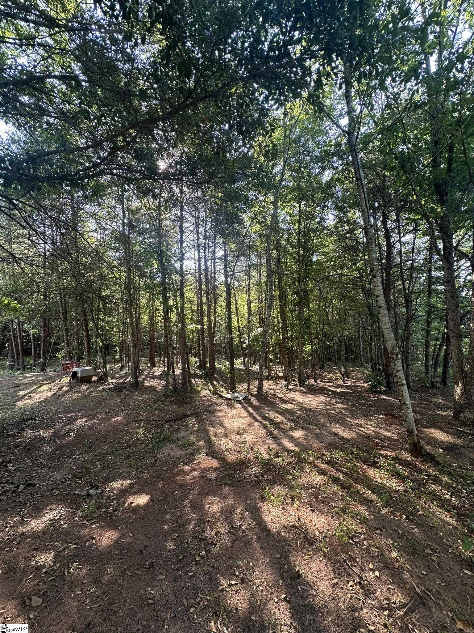 442 Mush Creek Road Travelers Rest, SC 29690 - Photo 6 of 14 Gallery Image 6