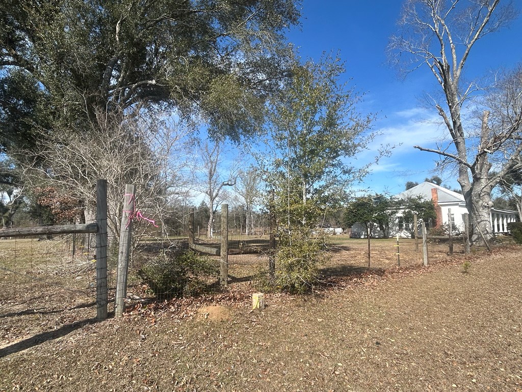 4717 State Line Road Cottonwood, AL 36320 - Photo 35 of 37