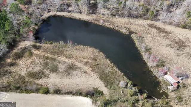 a view of a yard with a yard and large trees